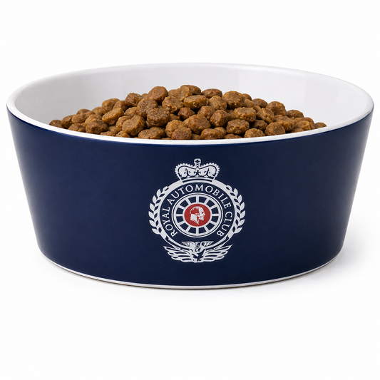 Dog Bowl