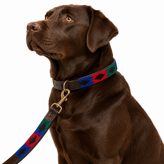 Bespoke Pampeano Dog Lead (2.5m)