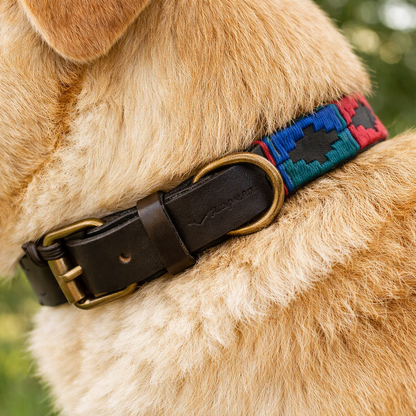 Bespoke Pampeano Dog Collar