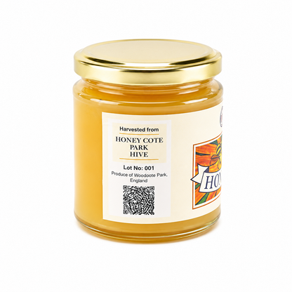 Club Honey